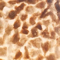 Straluma Beach tafellamp schelpen bol woonkamer></noscript> Schelpenlampen|Woonkamerlampen