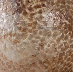 Straluma Beach tafellamp schelpen bol woonkamer></noscript> Schelpenlampen|Woonkamerlampen