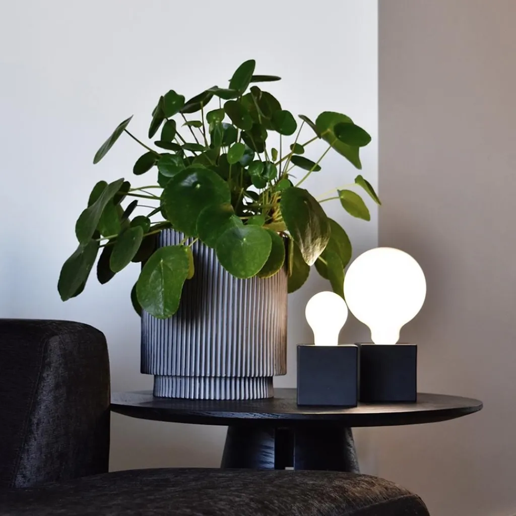 Straluma Calex Smart Home E27 LED filament softline Globe G125> Smart lampen|Calex