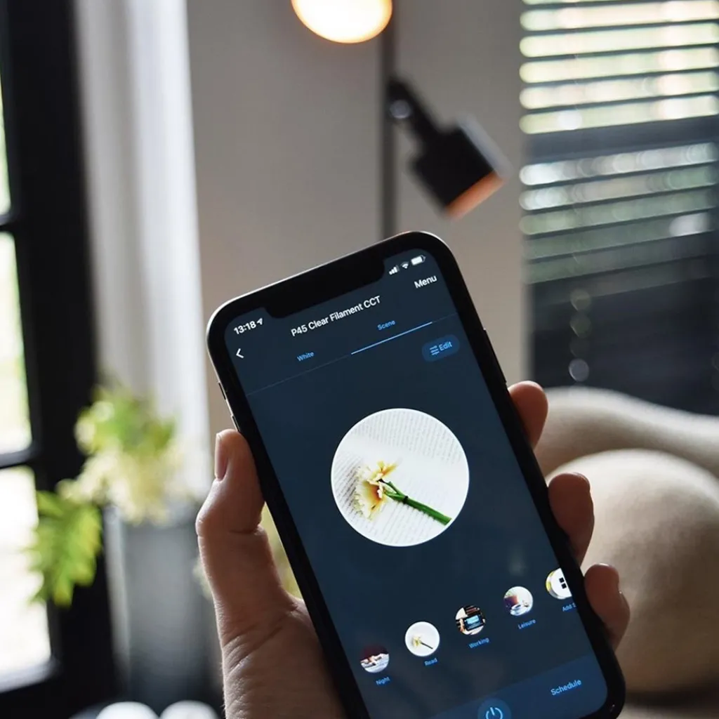 Straluma Calex Smart Home E27 LED filament helder kogellamp P45> Smart lampen|Calex