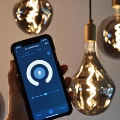 Straluma Calex Smart LED Globe G200 Titanium><noscript><img width=