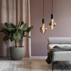 Straluma Calex Smart XXL Organic EVO Titanium><noscript><img width=