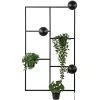 Straluma Decoratieve wandlamp zwart inclusief potten> Wandlampen|Botanische Verlichting