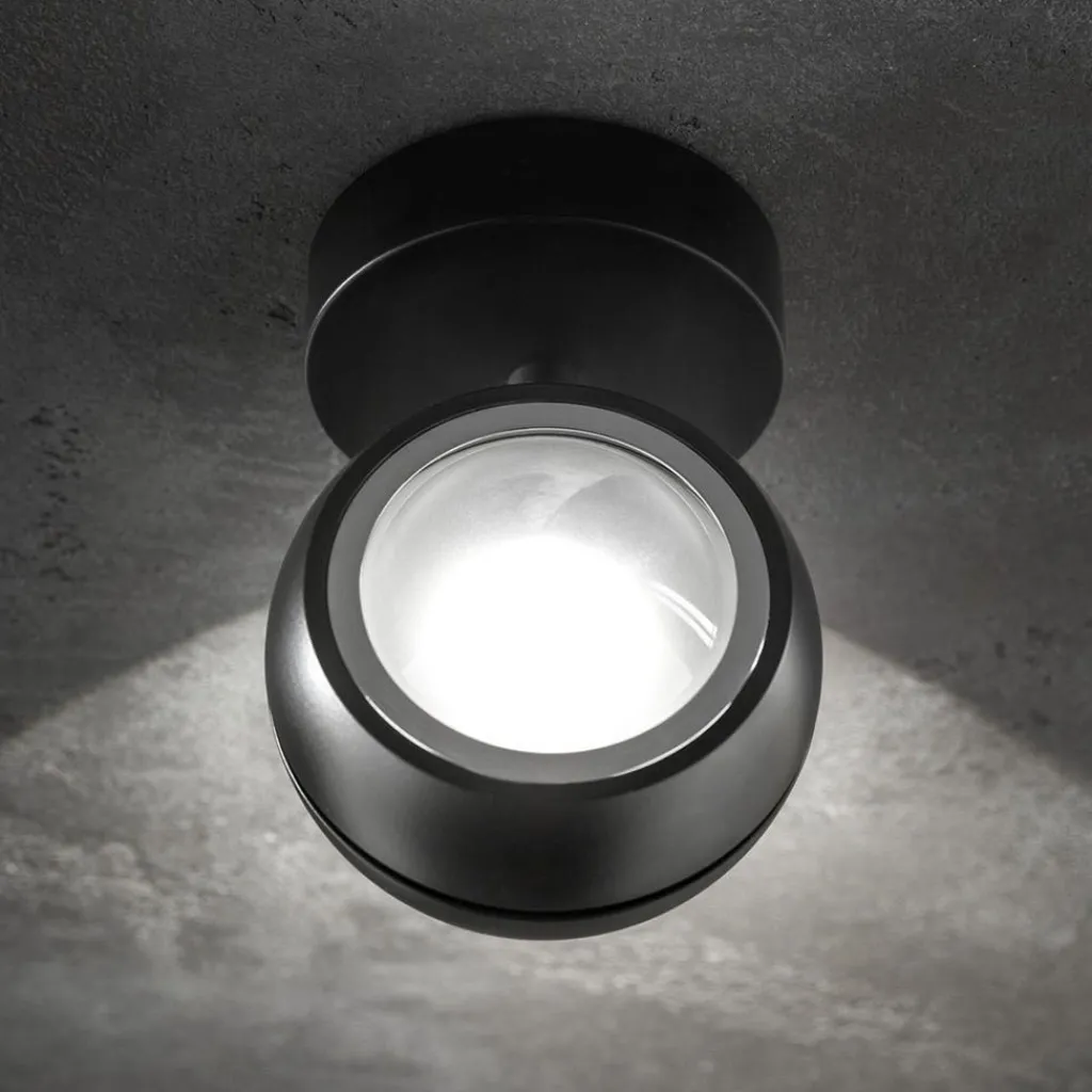 Straluma LED wandlamp up+down Nautilus Mini zwart verstelbaar> Wandlampen|LED Wandlampen