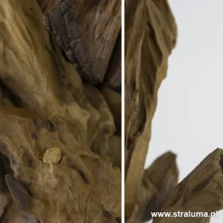 Straluma Light & Living lampvoet hout + zwart></noscript> Lampenvoeten|Light and Living