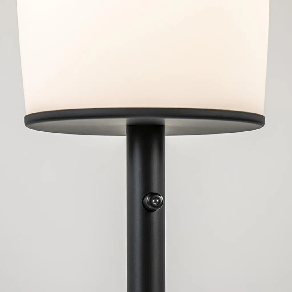 Straluma Moderne design vloerlamp zwart met opaal glas dim to warm> Vloerlampen|LED Vloerlampen