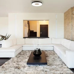 Straluma Plafondlamp Coin rond 50cm zwart CCT><noscript><img width=