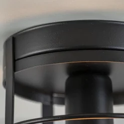 Straluma Plafondlamp kooi zwart></noscript> Kooilampen|Woonkamerlampen