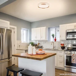 Straluma Plafondlamp Led Cirkel rvs 40cm><noscript><img width=