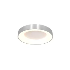 Straluma Plafondlamp Ringlede 30cm rvs led> Plafondlampen|Plafonnières