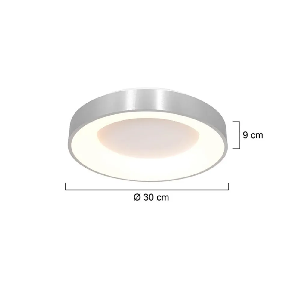 Straluma Plafondlamp Ringlede 30cm rvs led> Plafondlampen|Plafonnières