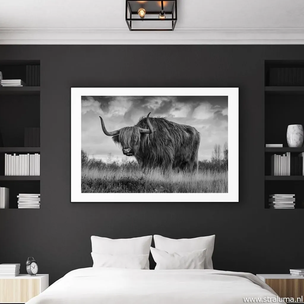 Straluma Plafondlamp vierkant zwart open frame> Plafonnières|Slaapkamerlampen