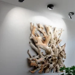 Straluma Plafondspot Nautilus zwart></noscript> Plafondlampen|Opbouwspots