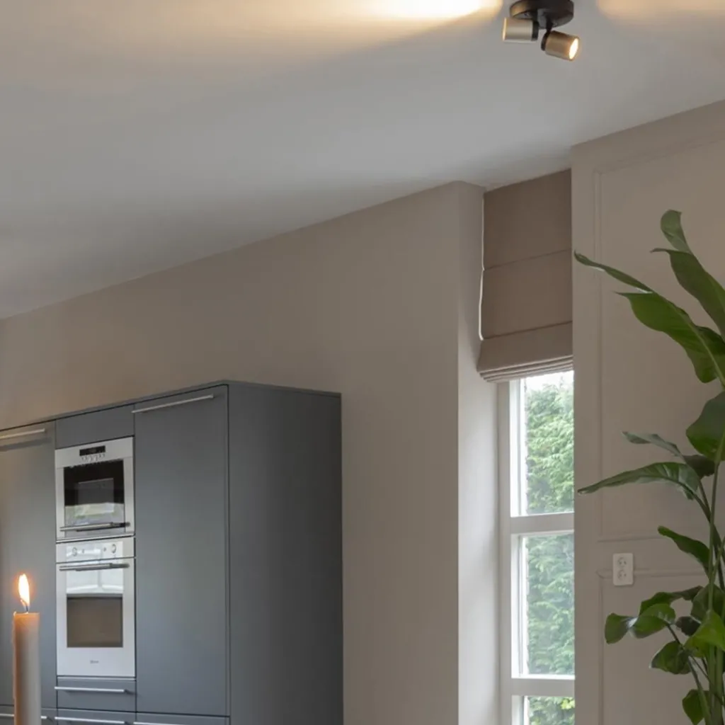 Straluma Plafondspot Razza 2L rond zwart/goud> Opbouwspots|Woonkamerlampen