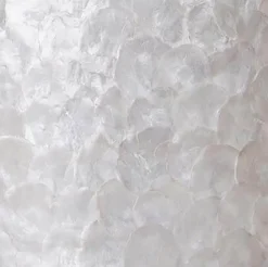 Straluma Romantische schelpen wandlamp ivoor><noscript><img width=