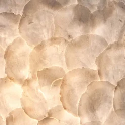 Straluma Romantische tafellamp schelp dressoir></noscript> Schelpenlampen|Woonkamerlampen