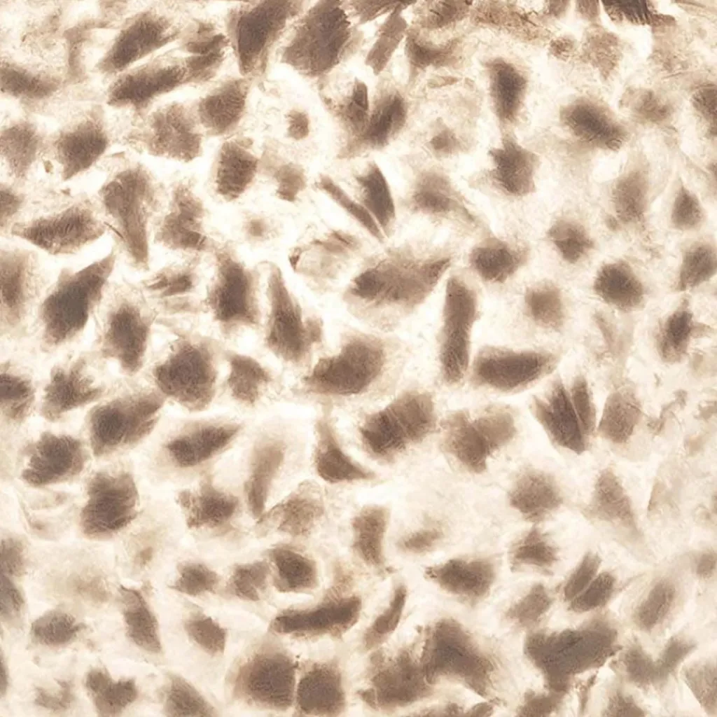 Straluma Ronde schelpen hanglamp wit/parelmoer 50 cm> Schelpenlampen|Halverlichting