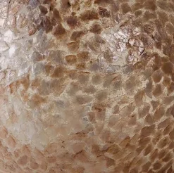 Straluma Schelpen tafellamp bol 40 cm creme-goud></noscript> Schelpenlampen|Woonkamerlampen