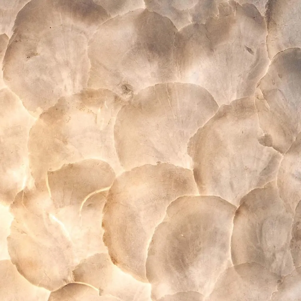 Straluma Sfeervolle wandlamp creme schelpen kamer> Schelpenlampen|Woonkamerlampen