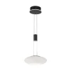 Straluma Smart hanglamp mat zwart met opaal glazen kap> Hanglampen|Smart lampen