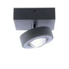 Straluma Smart plafondlamp met lens antraciet> Plafondlampen|Smart lampen