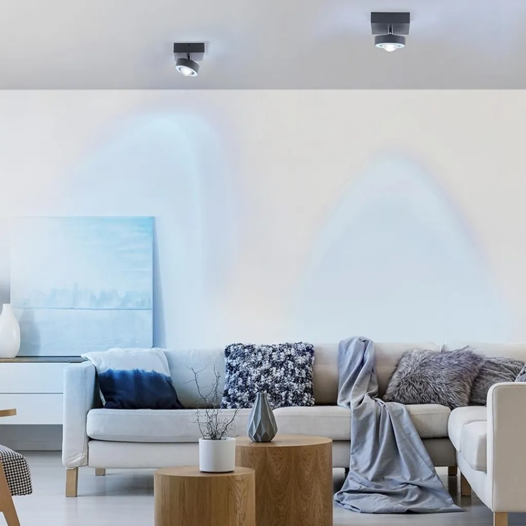 Straluma Smart plafondlamp met lens antraciet> Plafondlampen|Smart lampen